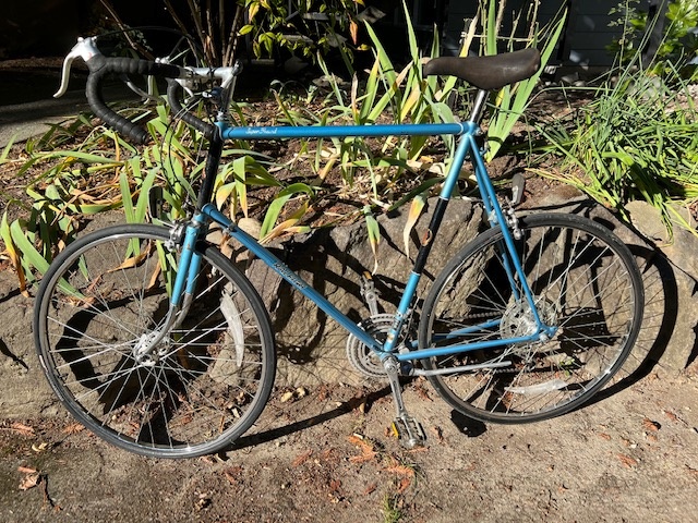 Raleigh Super Record Silver 10 Speed Large For Sale