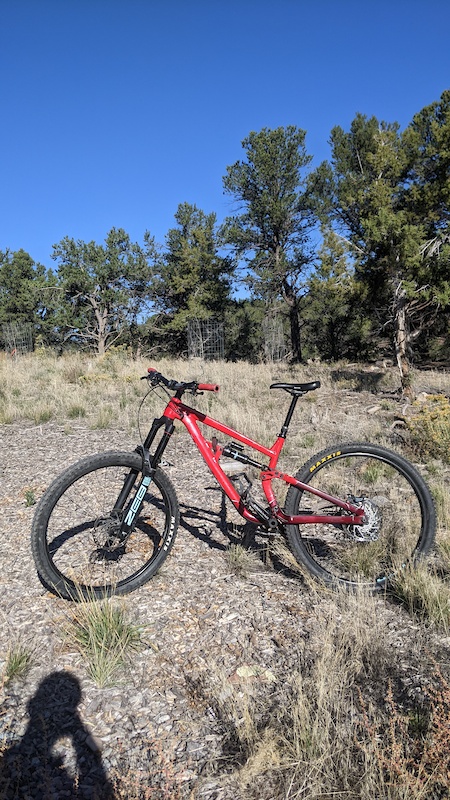 salsa cassidy frame
