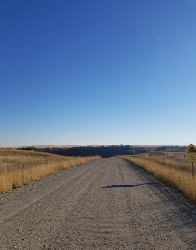 McKinnon Flats Access Road Multi Trail Langdon, Alberta