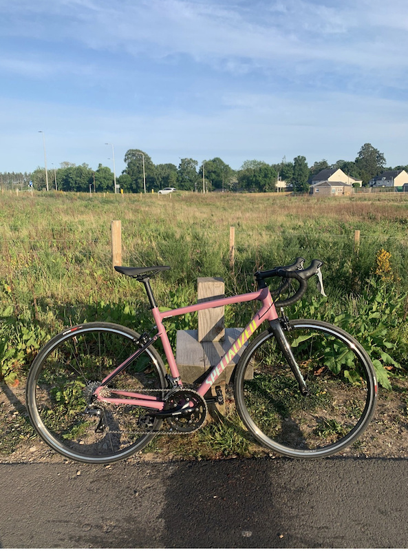 specialized allez e5 2020