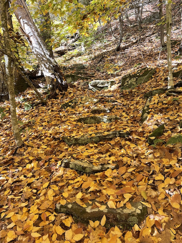 Henry Buck Trail Hiking Trail Barkhamsted, Connecticut