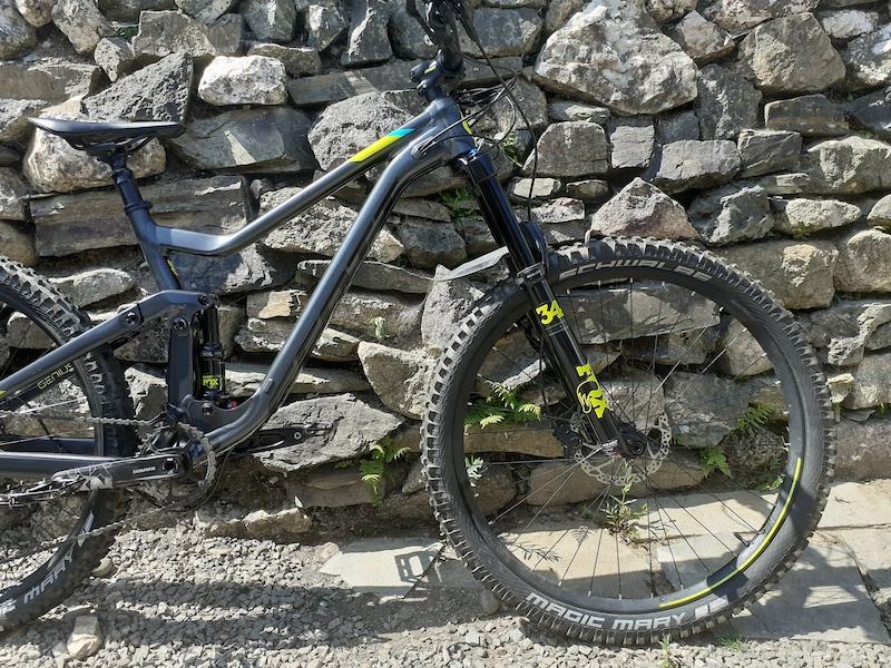 Scott genius 950 online 2019