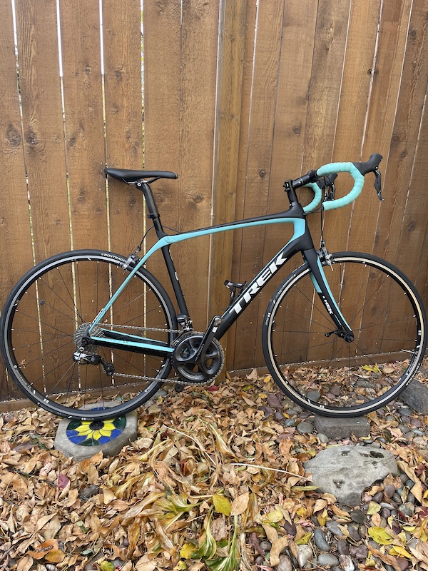 Trek discount domane 5.9