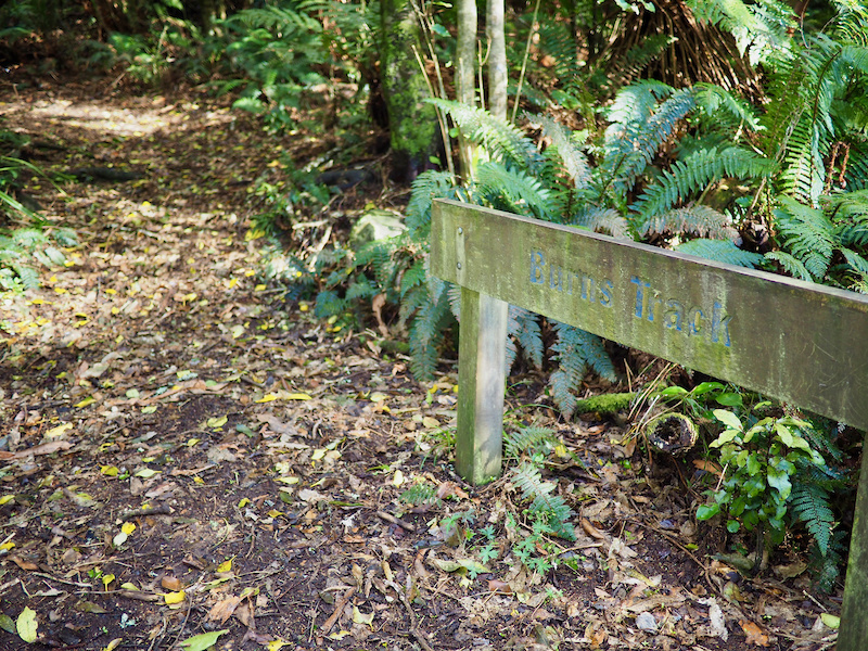 Burns Track Hiking Trail Leith Valley, Dunedin