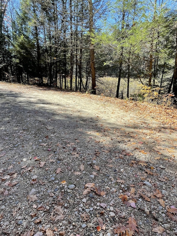 Turkey Vulture Trail Hiking Trail Barkhamsted, CT