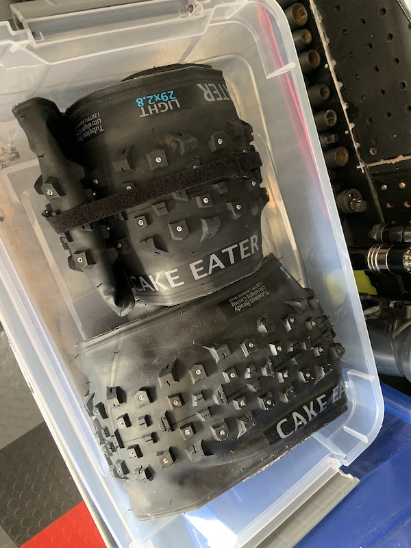 2021 Terrene Cake Eater Light 29x2.8 Studded For Sale