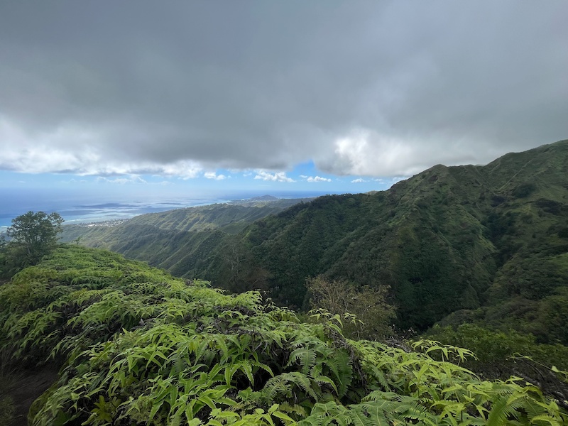Pu'u'okona Peak Hiking Trail Honolulu, Hawaii