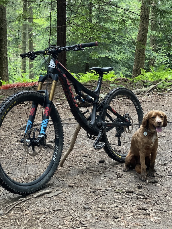 pivot switchblade 2018