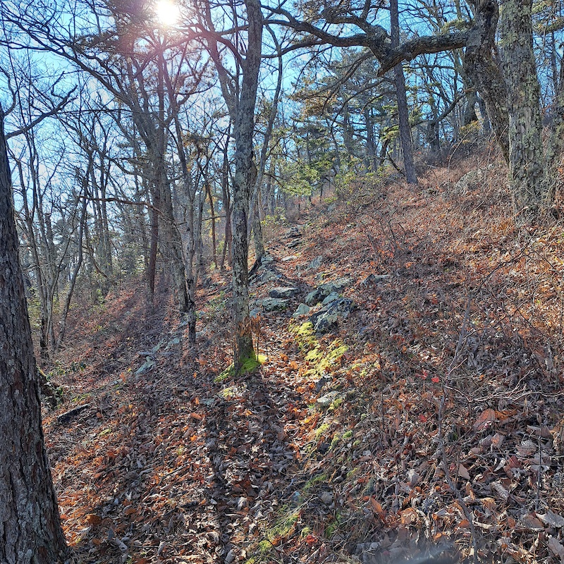 Roaring Run Mountain Biking Trails | Trailforks