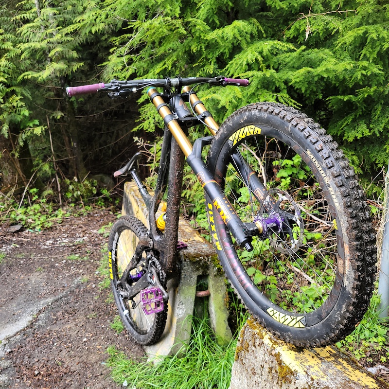 specialized s works demo 8 2017