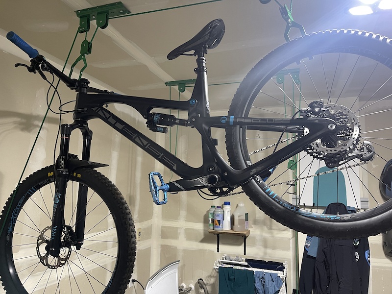 2019 intense recluse