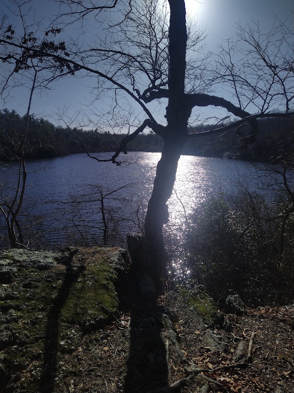 Terrace Pond Circularwhite Hiking Trail West Milford