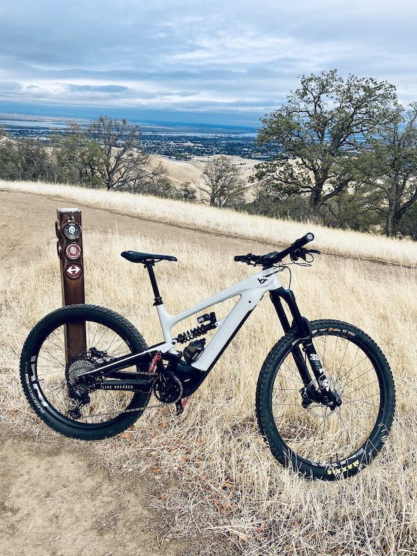 2020 YTDecoy Shred Mullet 29/275 Medium For Sale