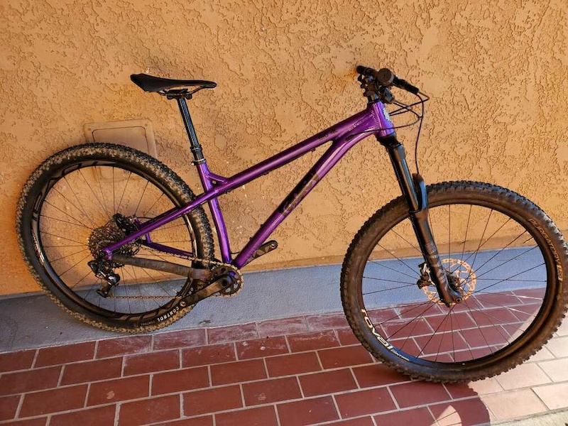 ragley big al hardtail