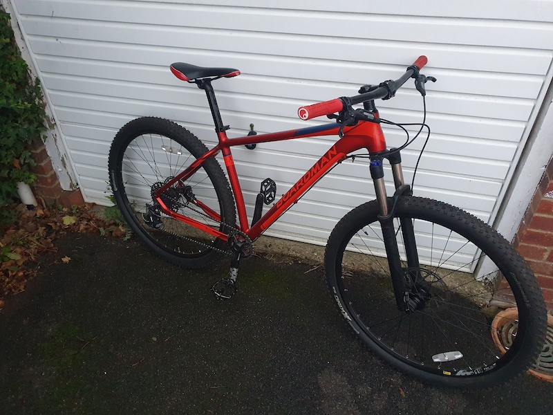 ale master bib shorts