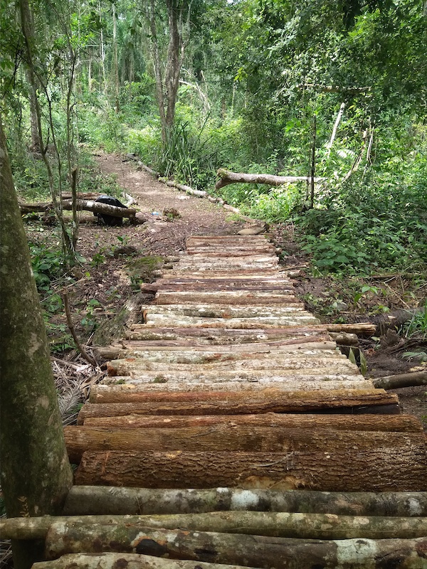 in El Dorado, Trinidad & Tobago - photo by maketraxs - Pinkbike