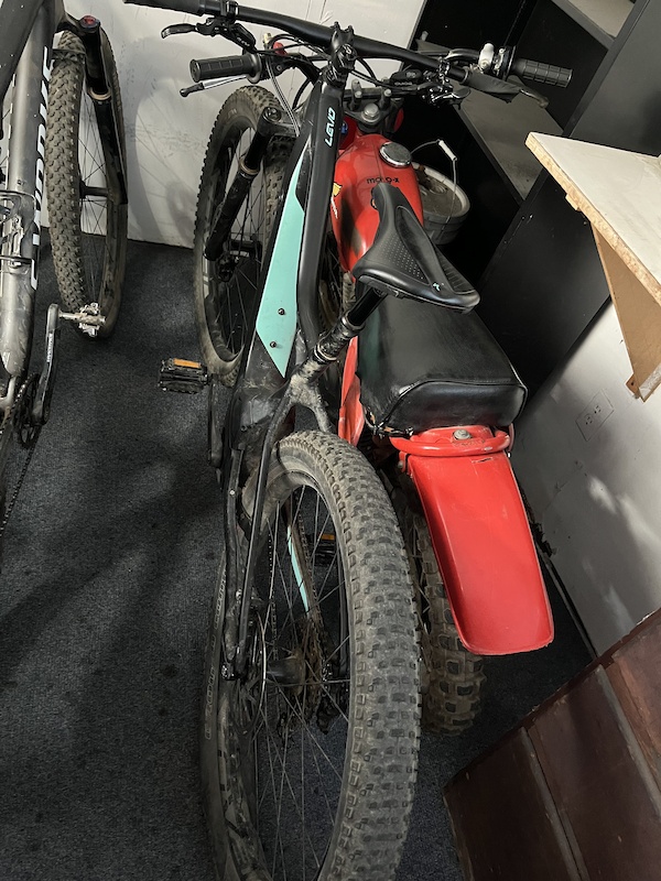 specialized levo ht 29er 2019