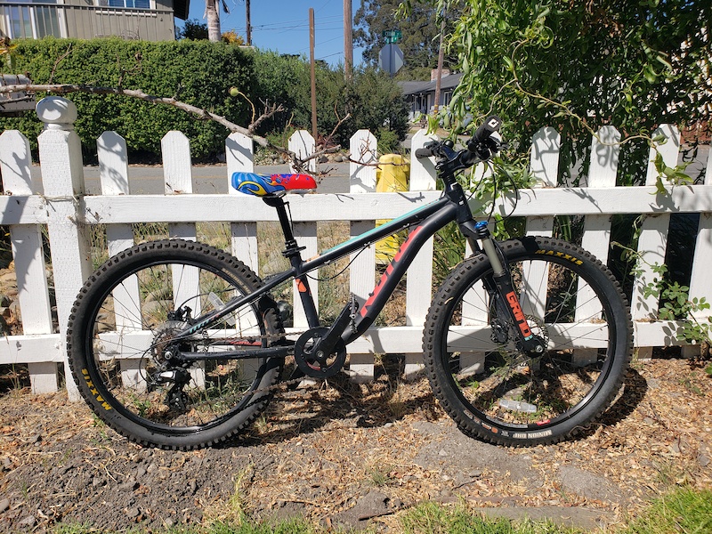 Kona cheap honzo 24