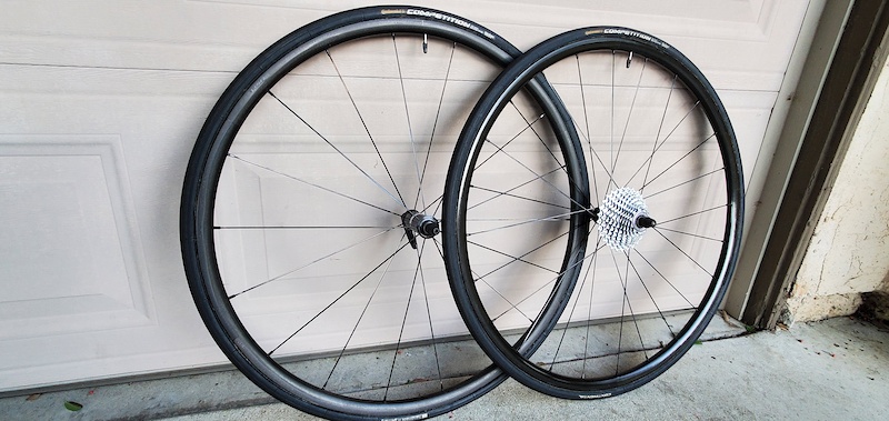 bontrager xxx aeolus