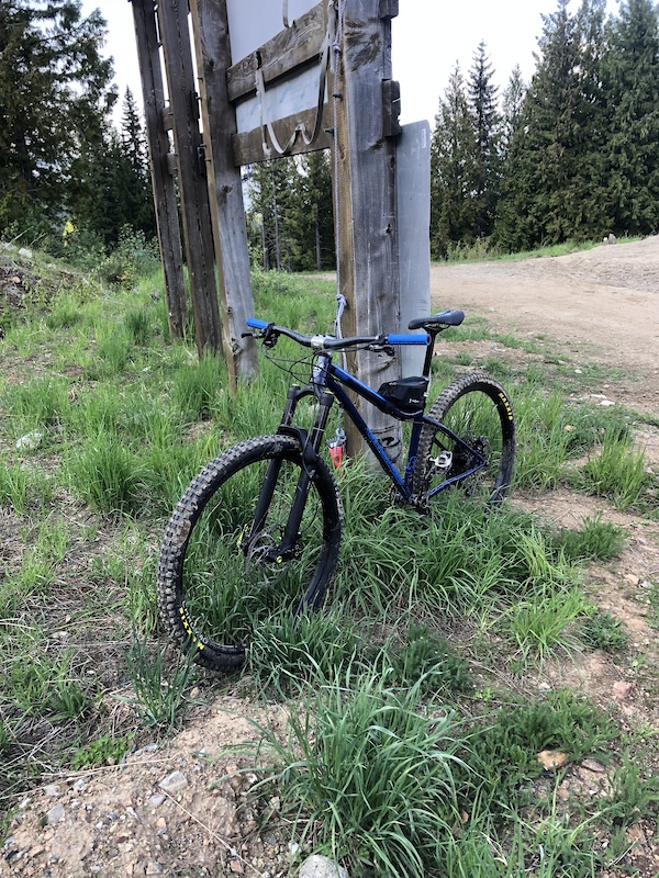 chromag rootdown frame weight