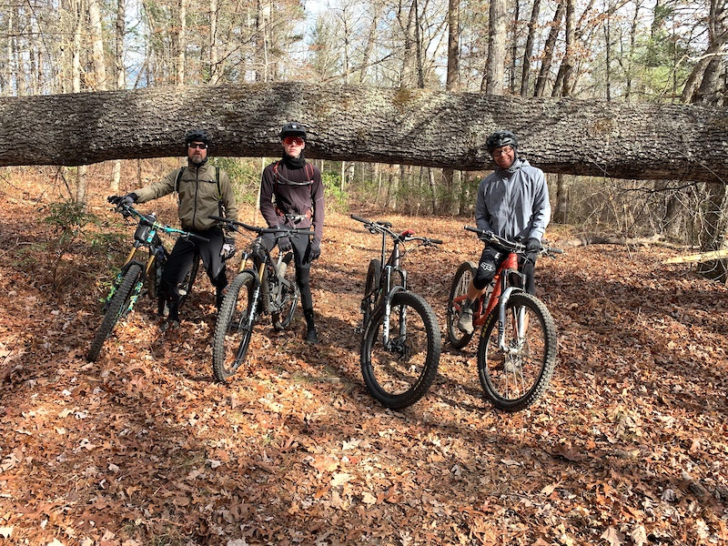 Pink Beds Loop Hiking Trail - Brevard, North Carolina