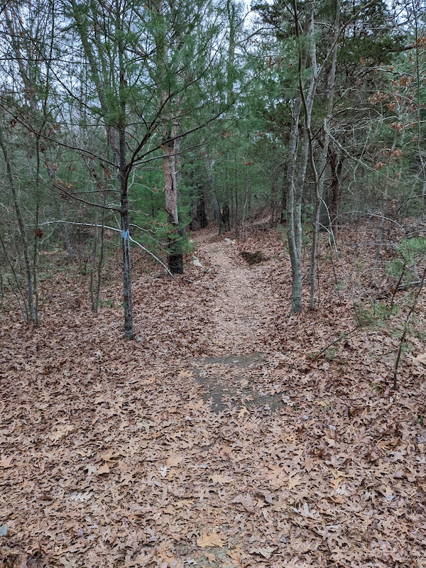 Chutes and Ladders Mountain Biking Trail Swansea