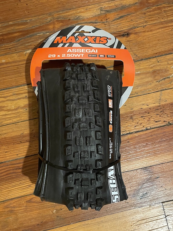 assegai 29 2.5 exo 