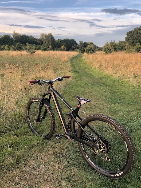 canyon strive al 6.0 2019