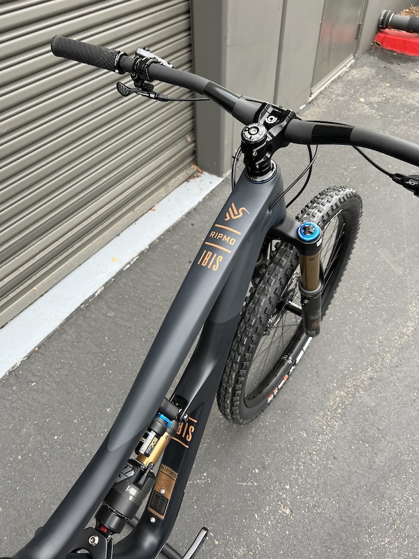 Ibis sales ripmo xt