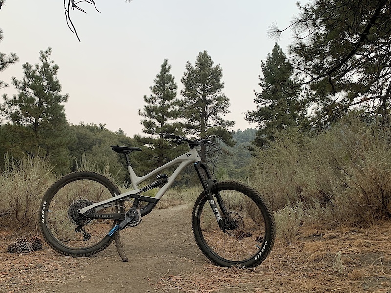 yt capra shred 29