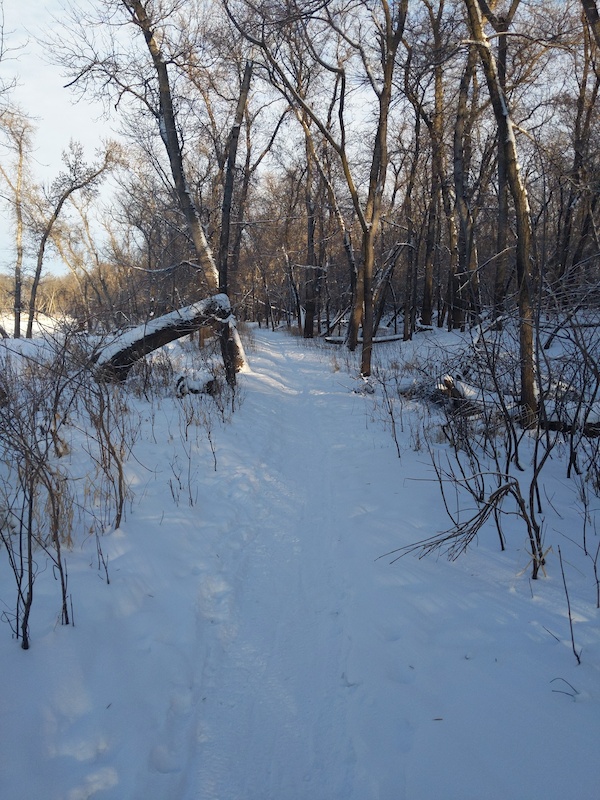 La Barriere Park Walking Trail Multi Trail Winnipeg