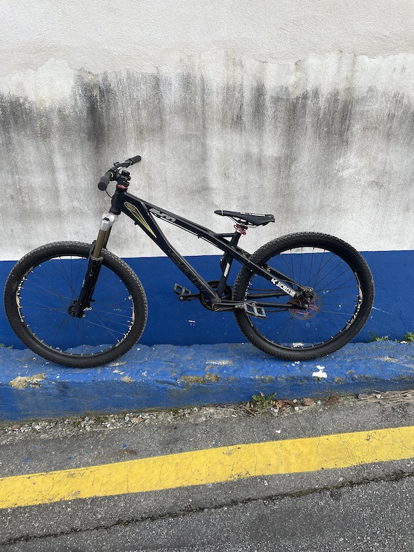 2004 Sunn le saint For Sale