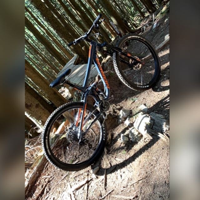 norco sight a3 2019 review