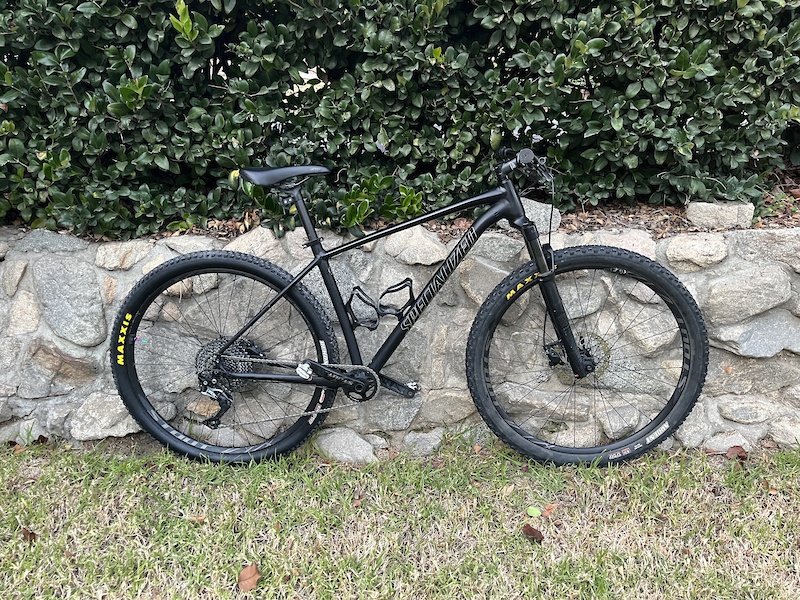 specialized rockhopper pro 1x 29 2019