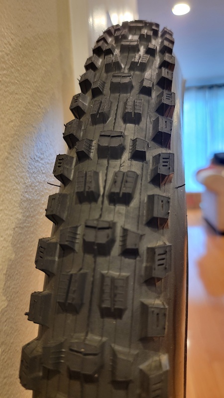 maxxis exo  29
