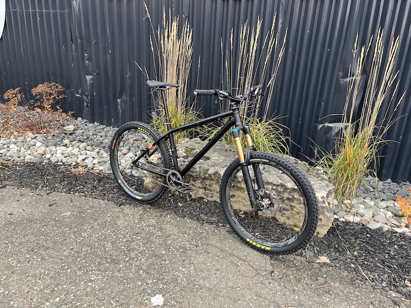 Ns bikes cheap surge evo 2019