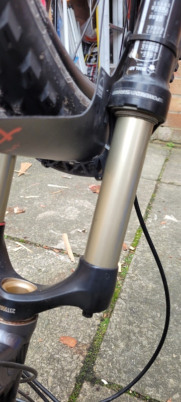 specialized camber expert 26