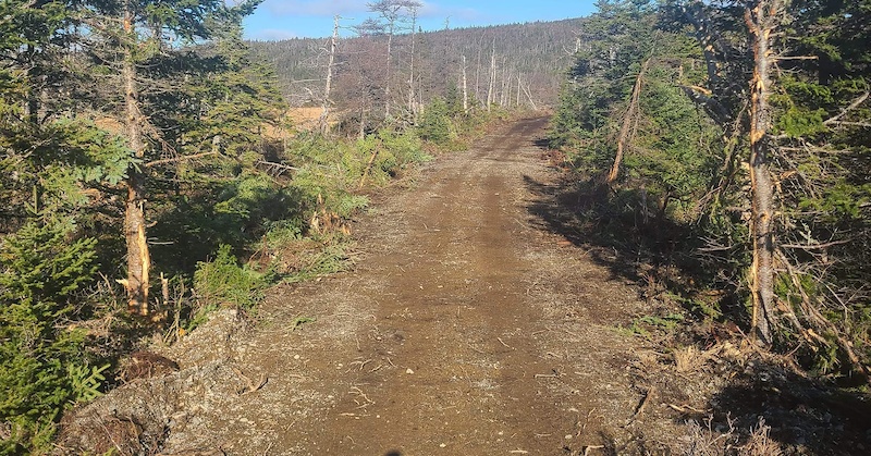 SS Trailway - Cape Broyle to Calvert ATVing/Offroading Trail ...