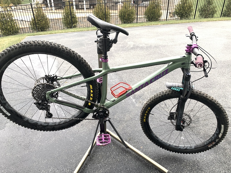 santa cruz chameleon d 