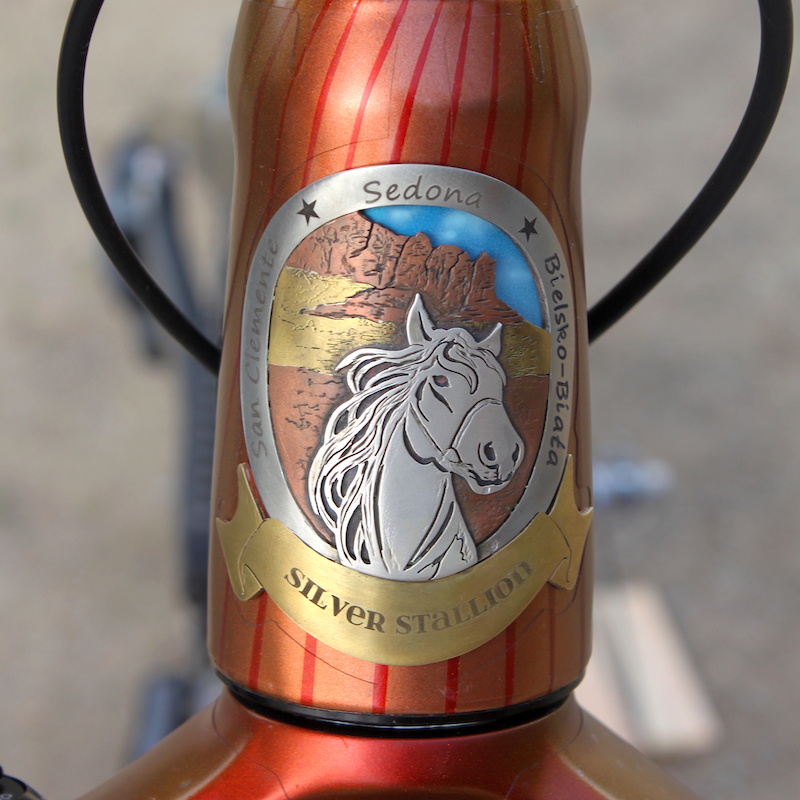 PB2 Custom Scott Genius Handmade Custom Head badge by Jen Green Instagram jengreenheadbadges