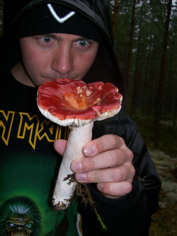 hmmmmmm mushroom!