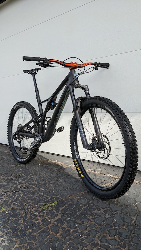 2019 stumpjumper 29er