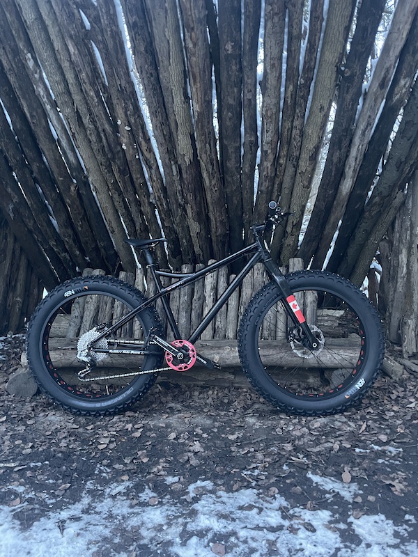 reid boss fat bike