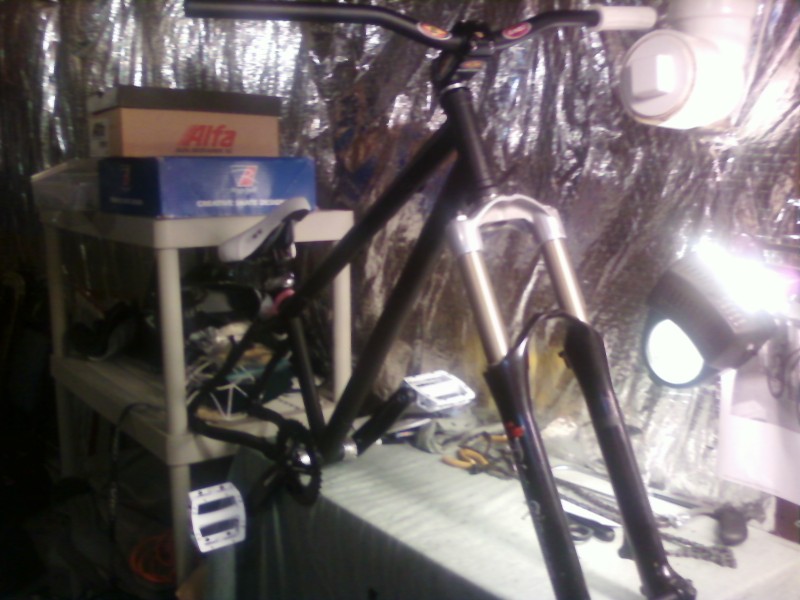 overall view of what i have so far (except wheels)

built on cheap!  

planet x frame, blk mrkt seat. marrzochi dj3 fork