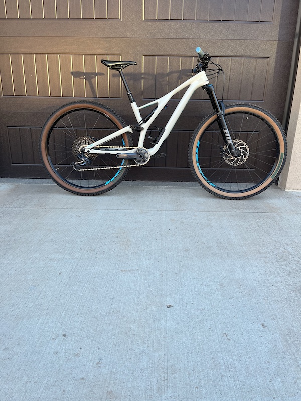 2019 stumpjumper evo 27.5