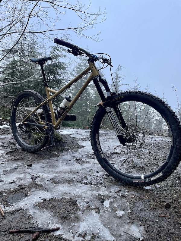 aggressive hardtail frame