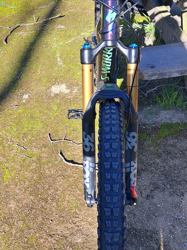 2019 stumpjumper 160mm fork