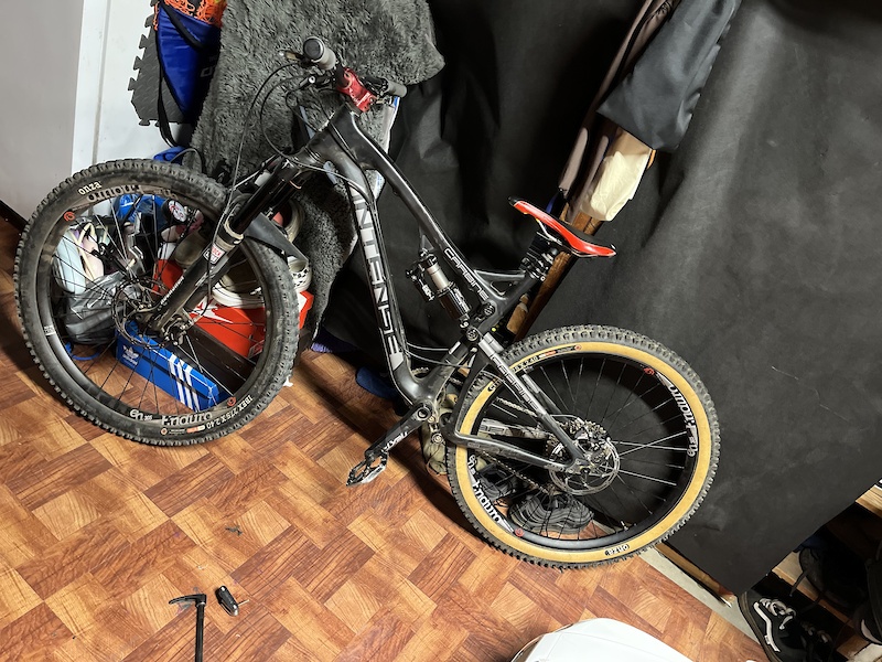 intense carbine 2019