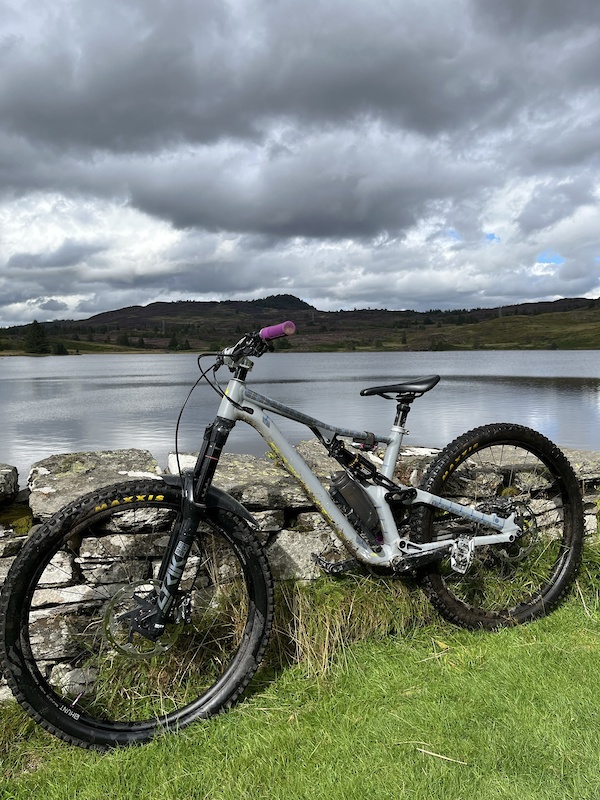 2019 specialised stumpjumper