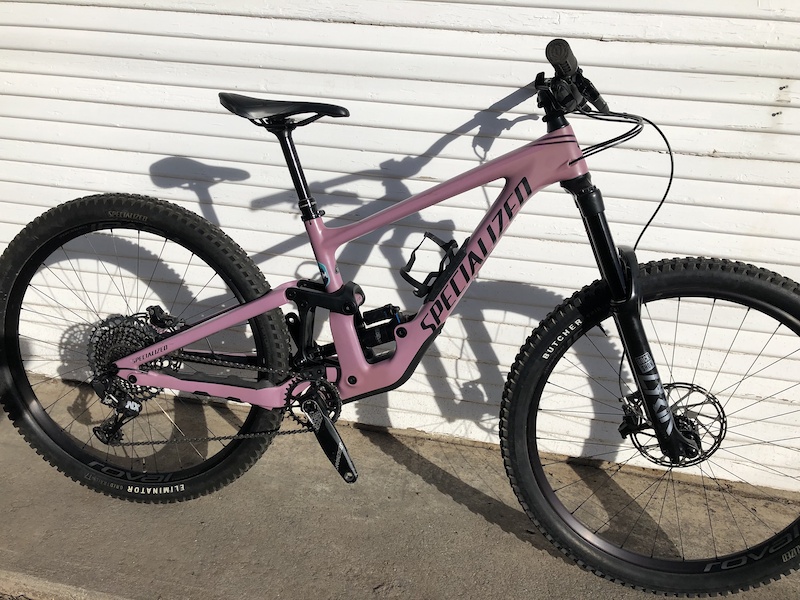 2020 specialized enduro elite